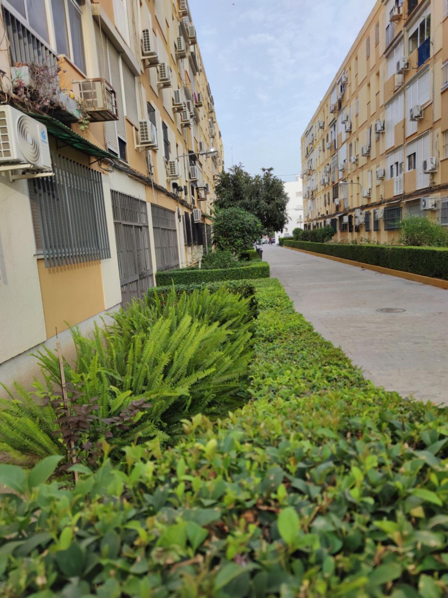 סביליה Apartamento Celia מראה חיצוני תמונה